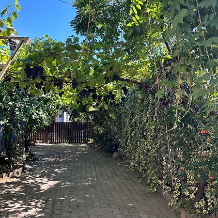 Downtown Guest House Kutaisi Exterior foto
