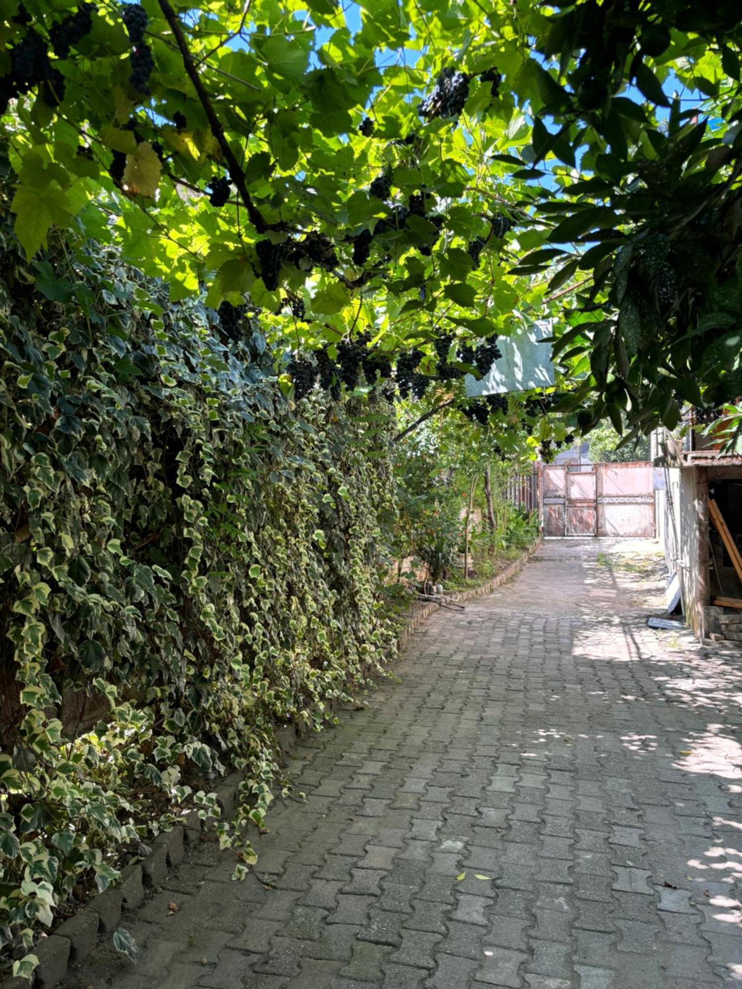 Downtown Guest House Kutaisi Exterior foto