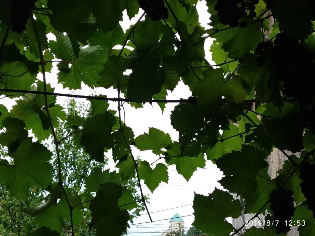Downtown Guest House Kutaisi Exterior foto